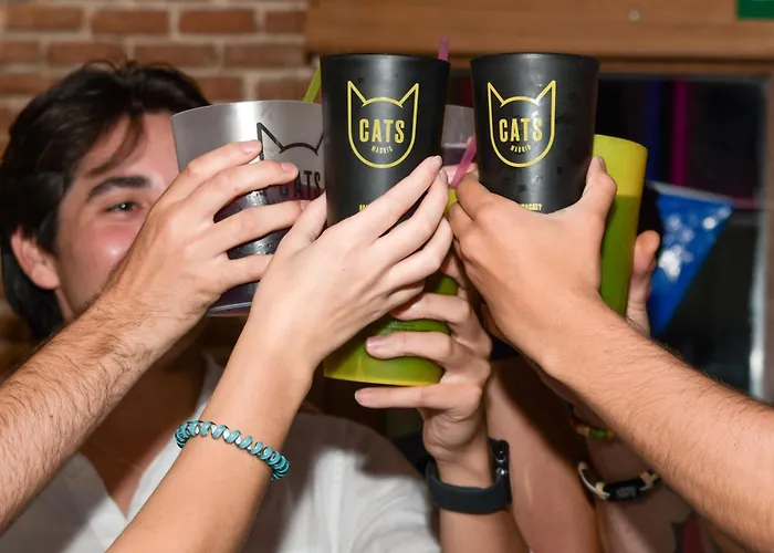 Cats Madrid SolHostal